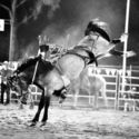 Finley Rodeo 5th January 2018