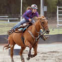 Narrandera Rodeo 24th February 2018