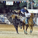 Narrandera Rodeo 24th February 2018