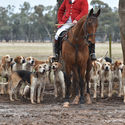 Tocumwal Invitation Hunt 16th June 2018