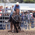 Euroa Rodeo 24th March 2018